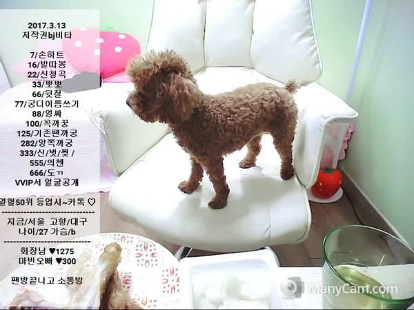 韩国主播_lovely22_155507_155507